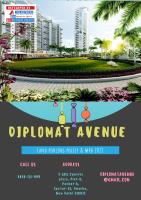 Diplomat Avenue image 1